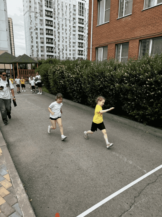 img (10)